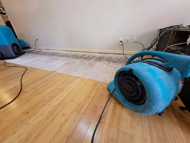 Professional Burst Pipe Water Damage technician working in Dixie, WA